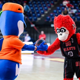 windrose-giants-antwerp-vs-val-dieu-spirou-basket-charleroi-167